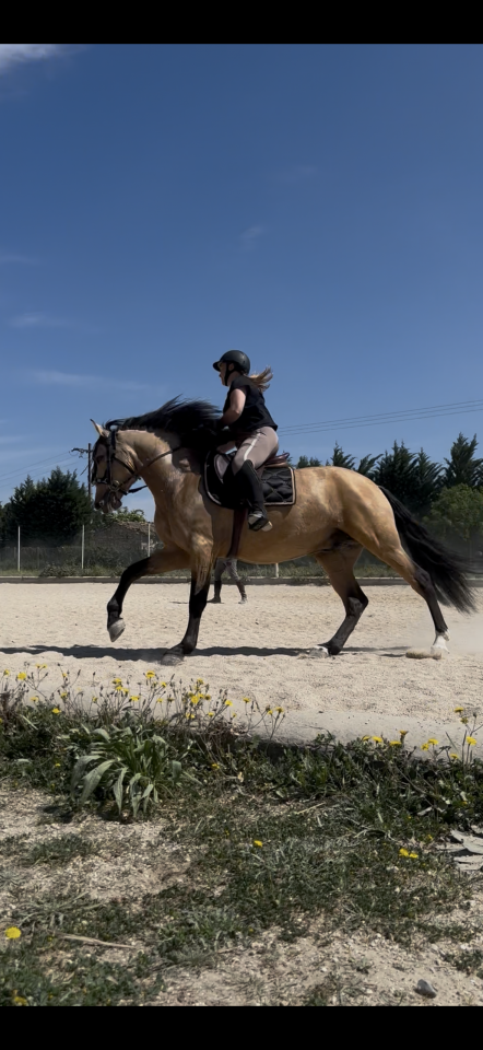 Confiance tous frais tous gains