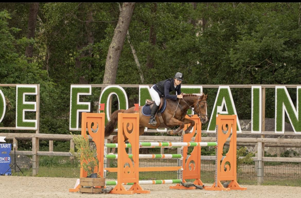 Poney de sport &agrave; louer 