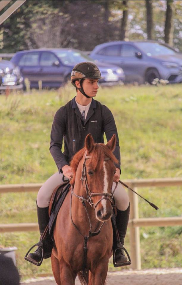 Poney de sport &agrave; louer 
