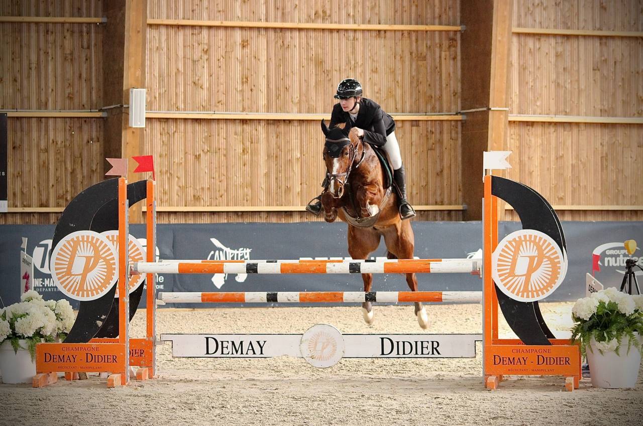 Poney de sport &agrave; louer 