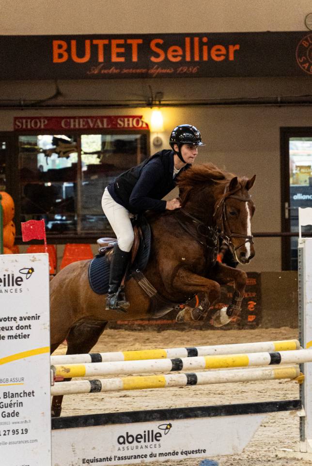 Poney de sport &agrave; louer 