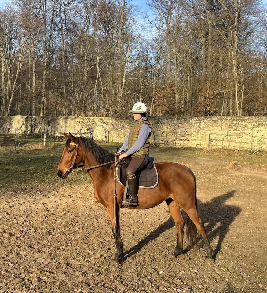 Jument 5 ans - Loisir, Balades, sport