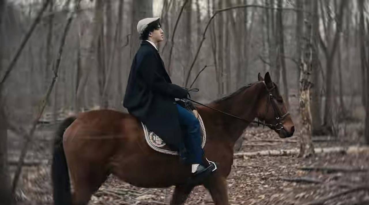 Jument 5 ans - Loisir, Balades, sport