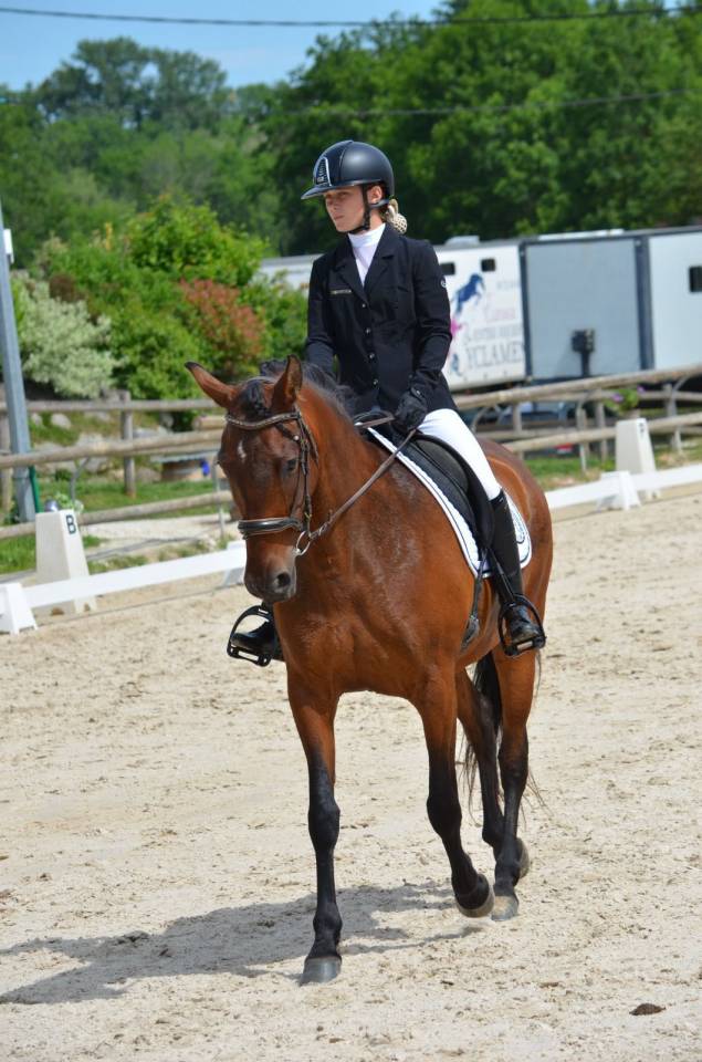 Cheval - Jument Pure Race Espagnol