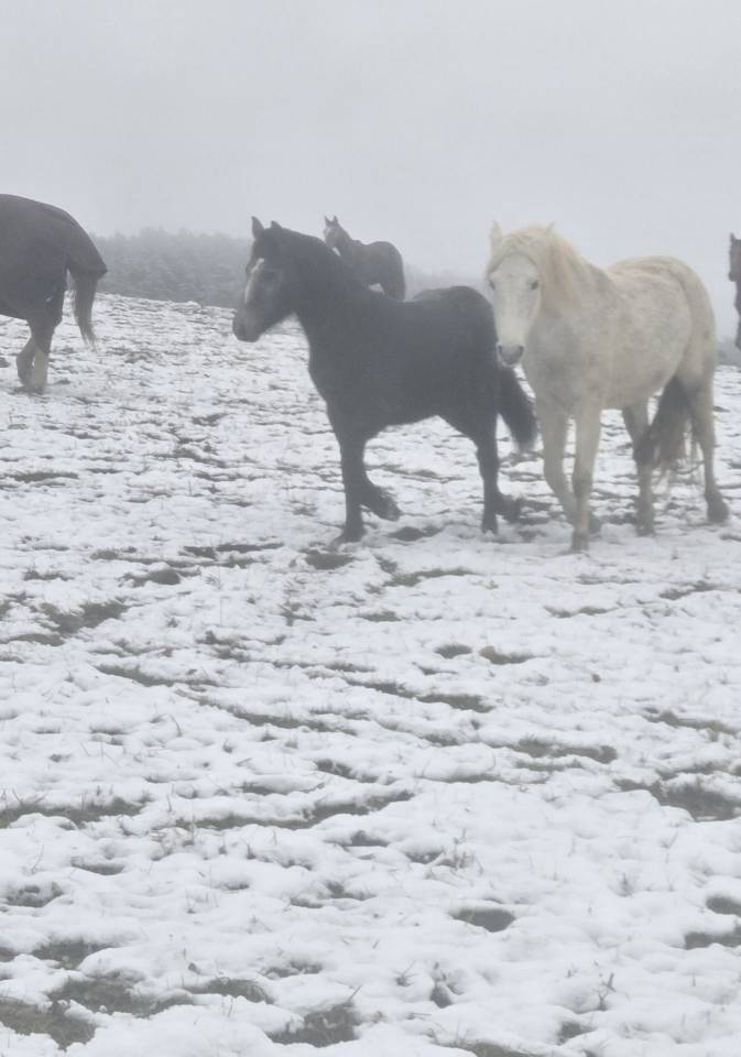 Connemara Plein papier