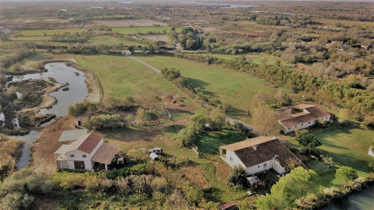 G&Icirc;TE EQUESTRE EN CAMARGUE