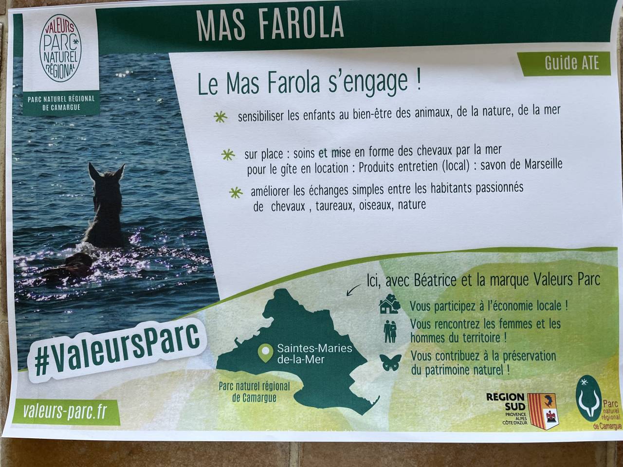 G&Icirc;TE EQUESTRE EN CAMARGUE