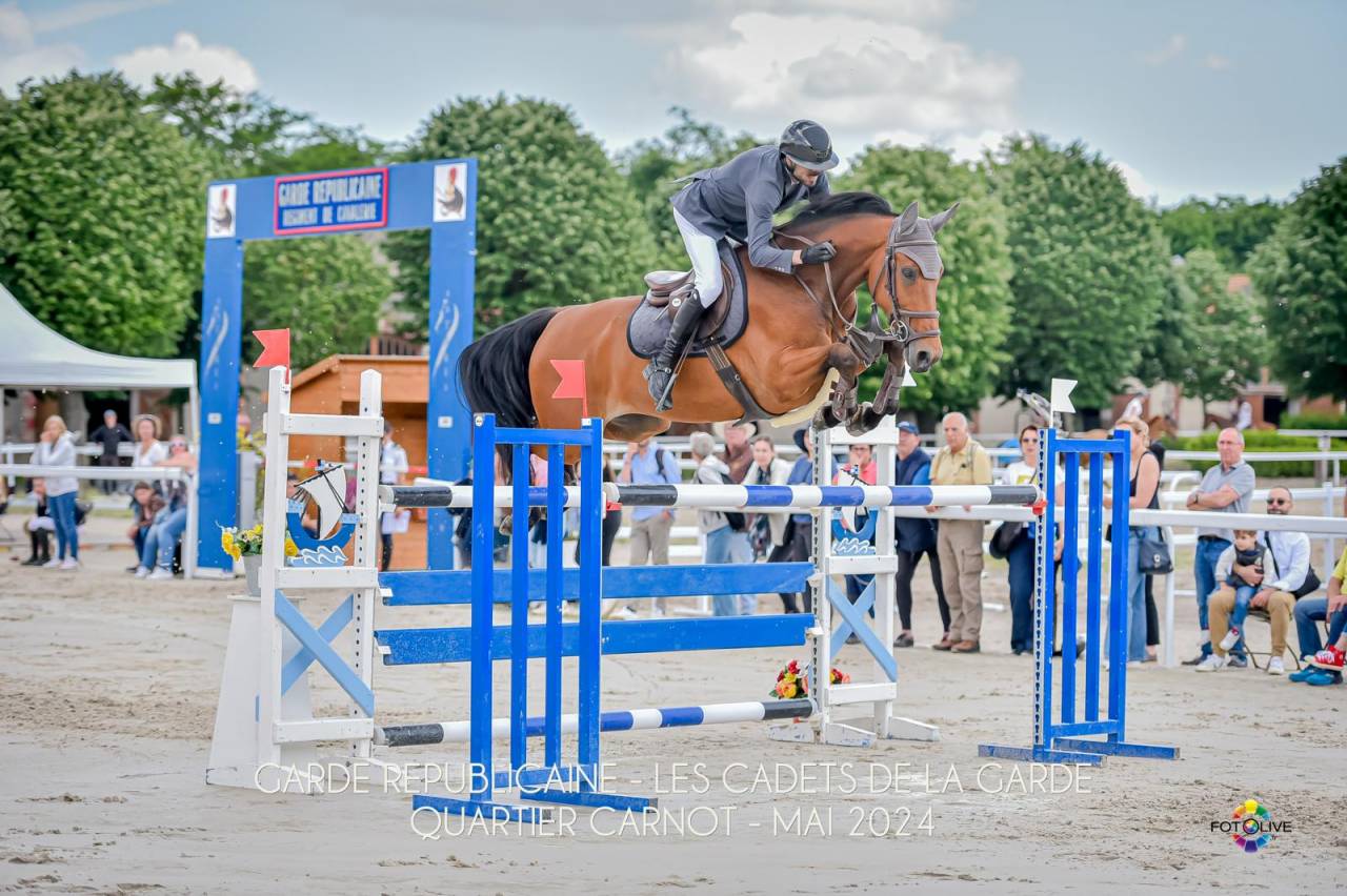 Hongre id&eacute;al children / junior 