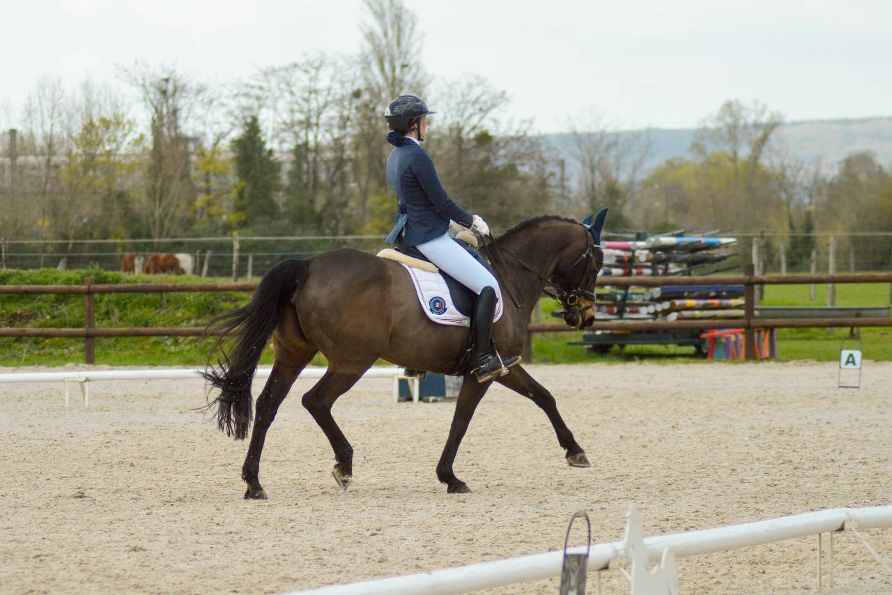 Poulini&egrave;re de dressage 