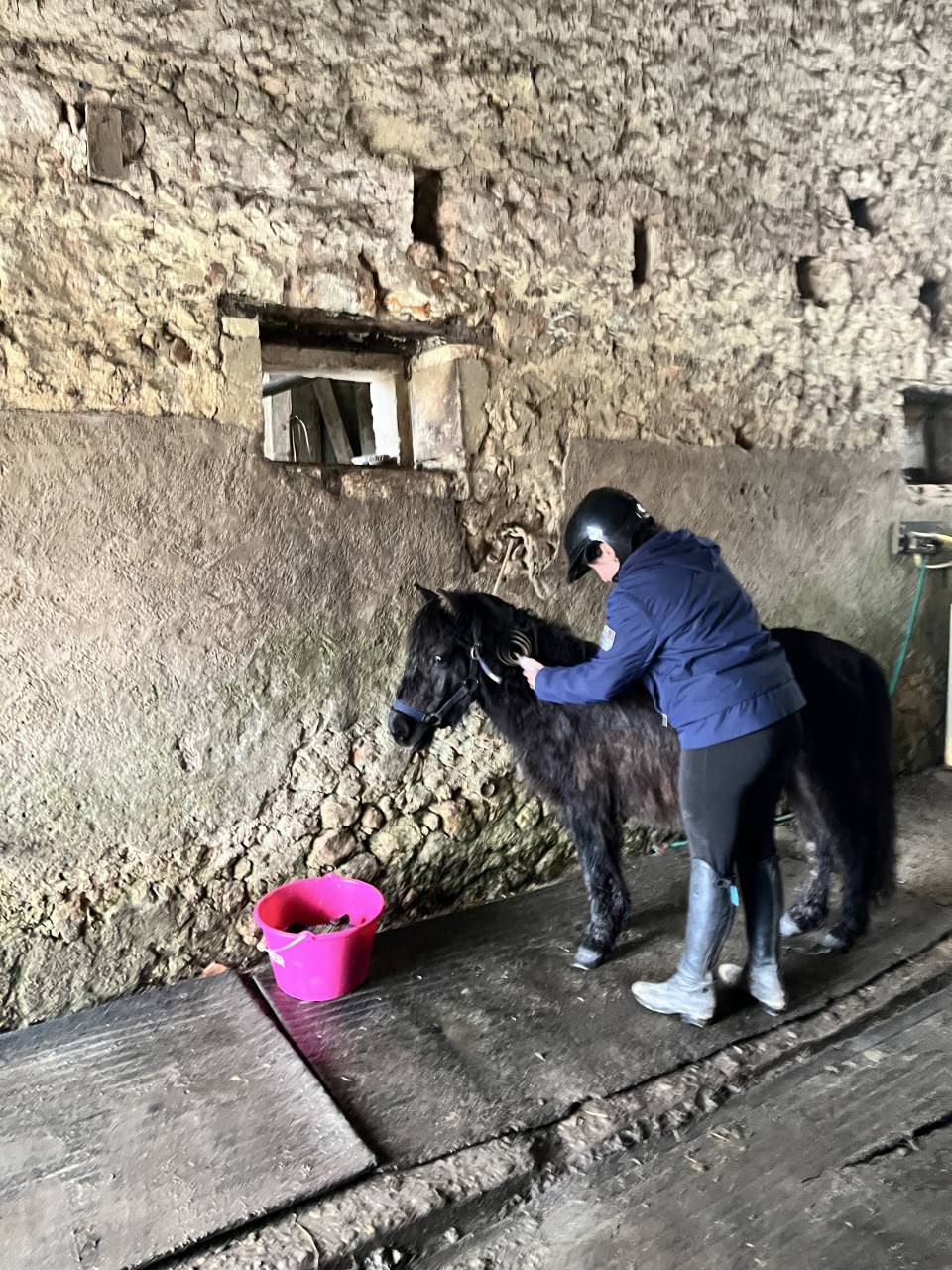Nignonne d&rsquo;Alix 3 ans  gentille et bien &eacute;duqu&eacute;e 
