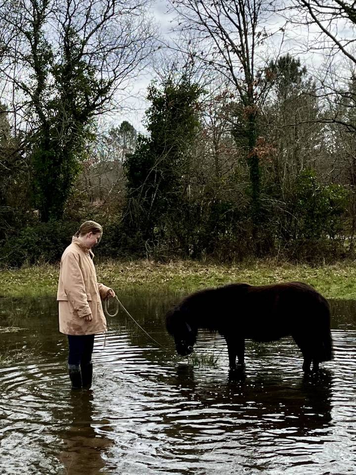 Nignonne d&rsquo;Alix 3 ans  gentille et bien &eacute;duqu&eacute;e 
