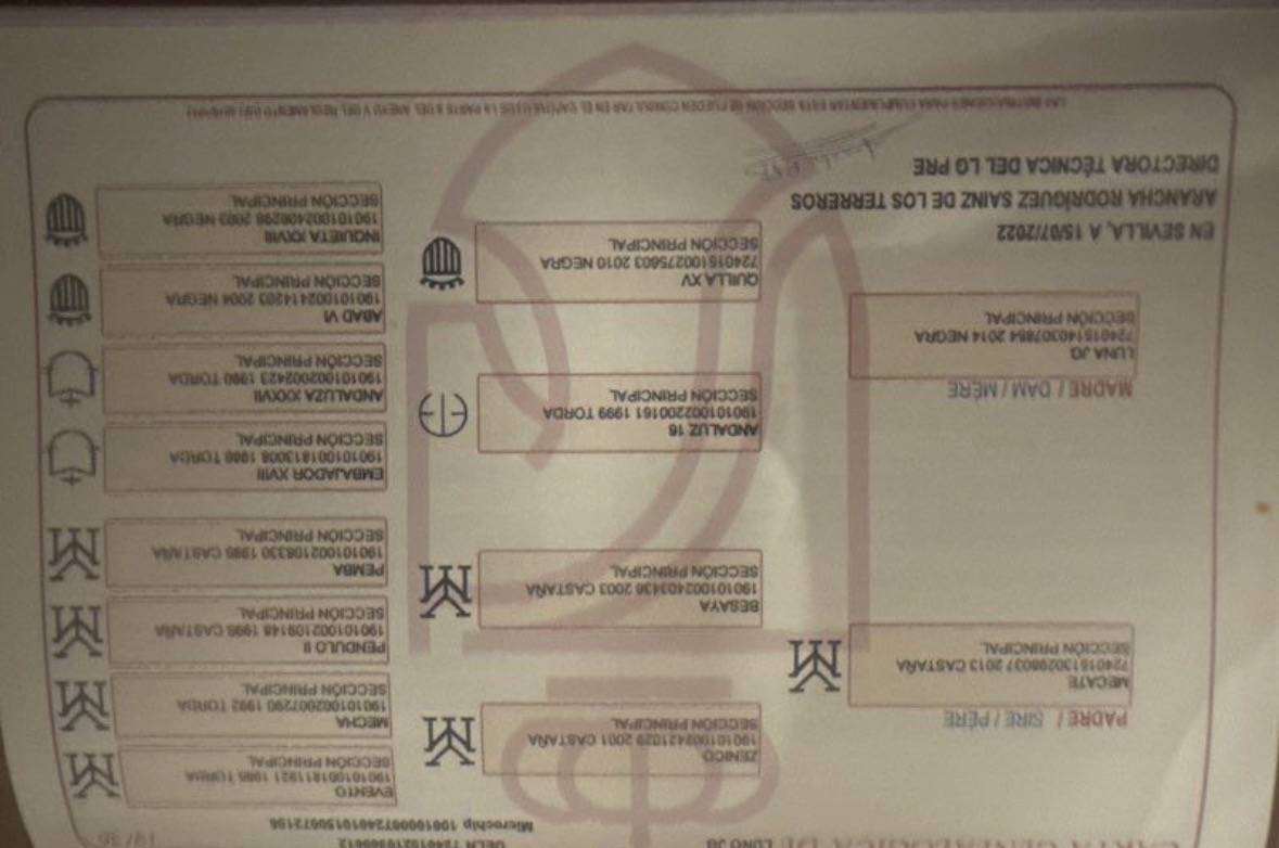 Luno JG pur race espagnol 