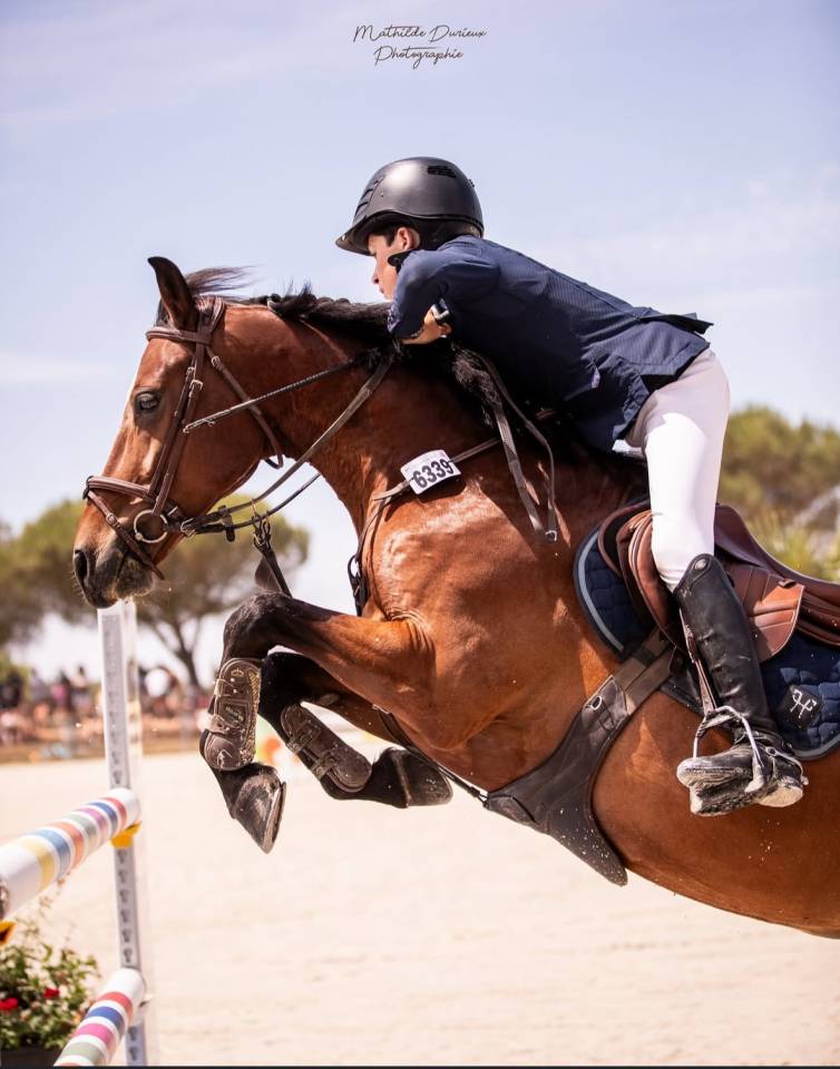 Poney d&rsquo;as &eacute;lite &agrave; vendre, Fenomene du Cyan