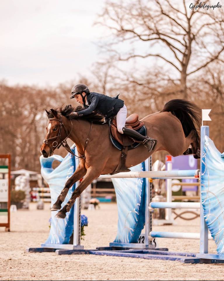 Poney d&rsquo;as &eacute;lite &agrave; vendre, Fenomene du Cyan