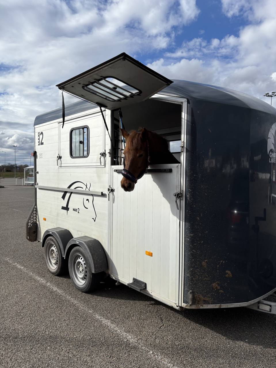 Van cheval libert&eacute; maxi 2