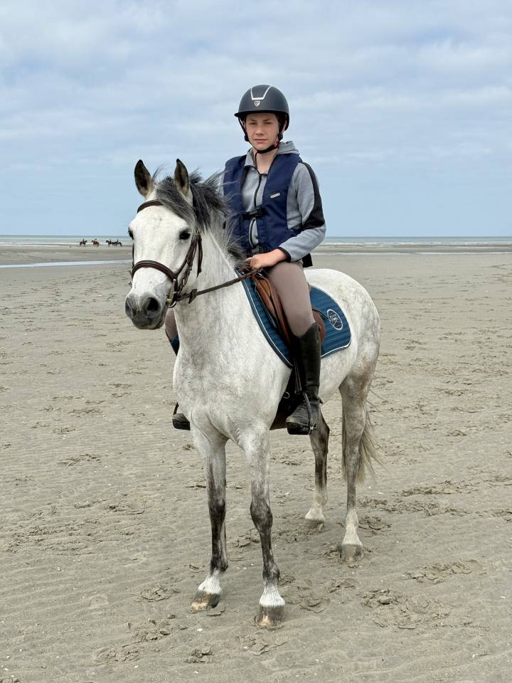 Ponette C par Machno Carwyn