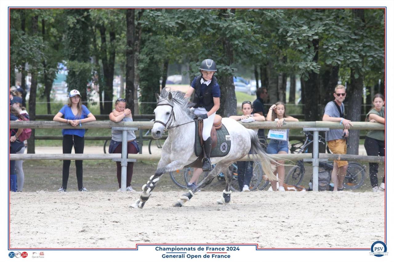 Ponette C par Machno Carwyn