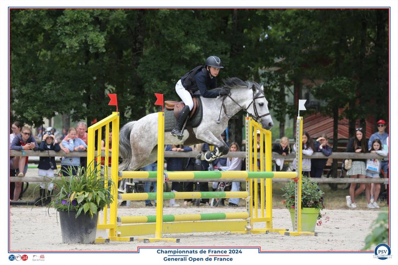 Ponette C par Machno Carwyn