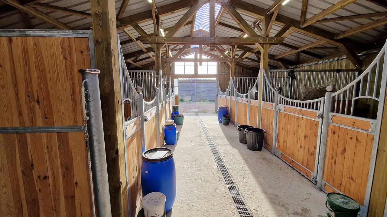 Propri&eacute;t&eacute; &eacute;questre avec villa avec piscine