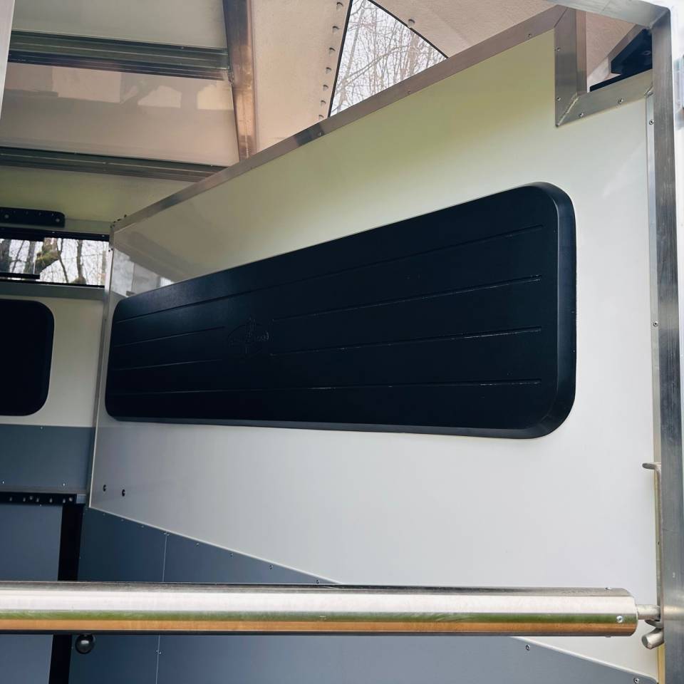 Van Bonilla Diagonal 3