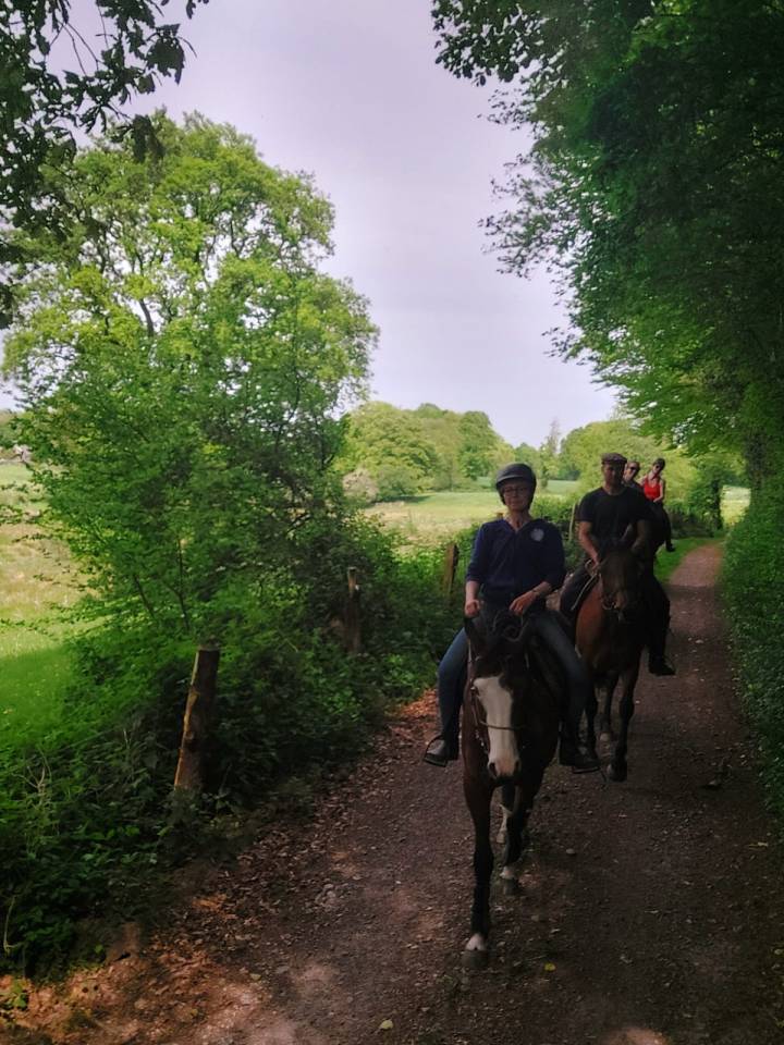 Vends hongre paint PP