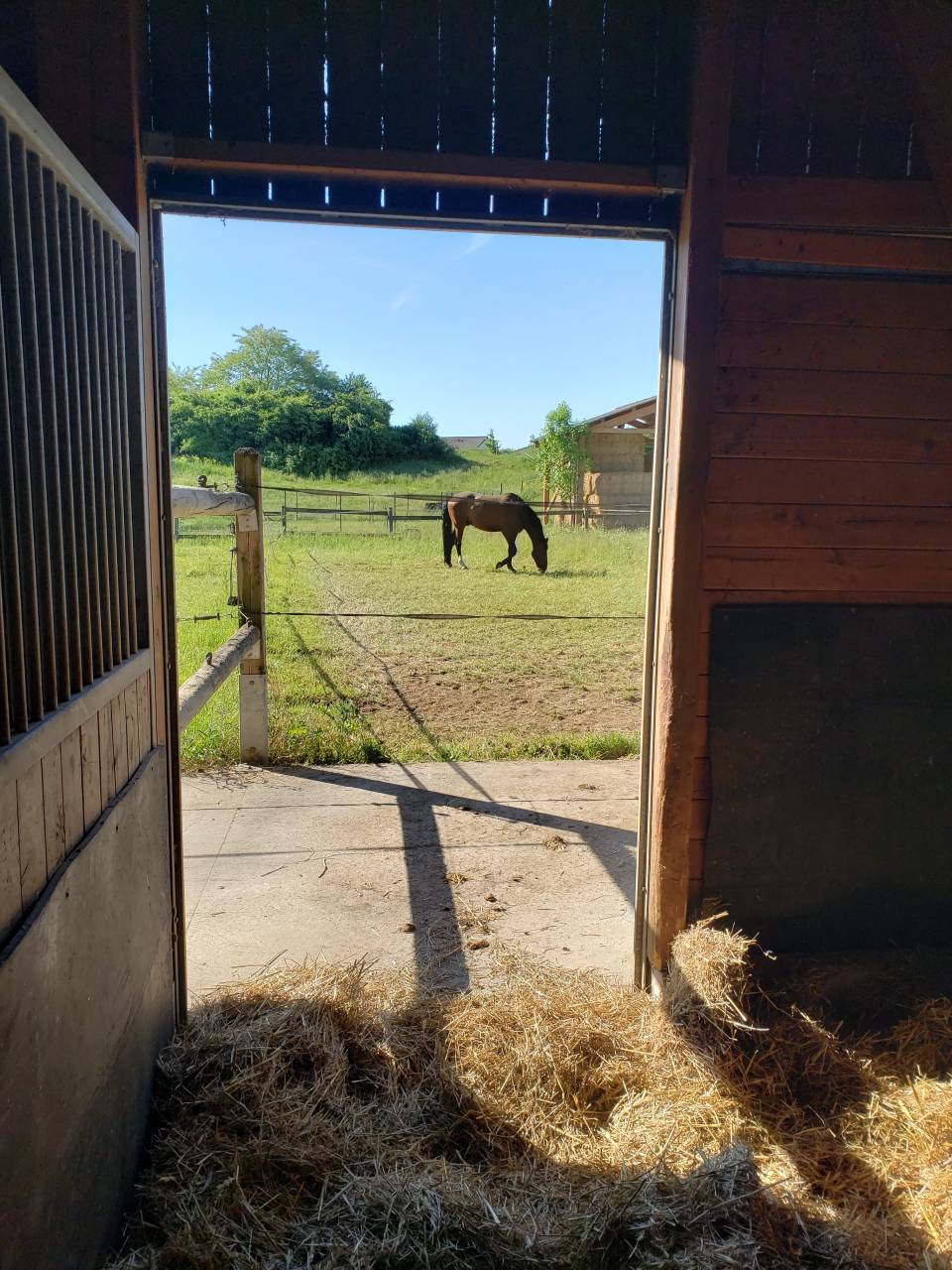 Moniteur/trice d'&eacute;quitation 