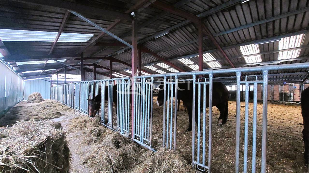 Domaine &eacute;questre d'exception  35 hectares  Massif des V