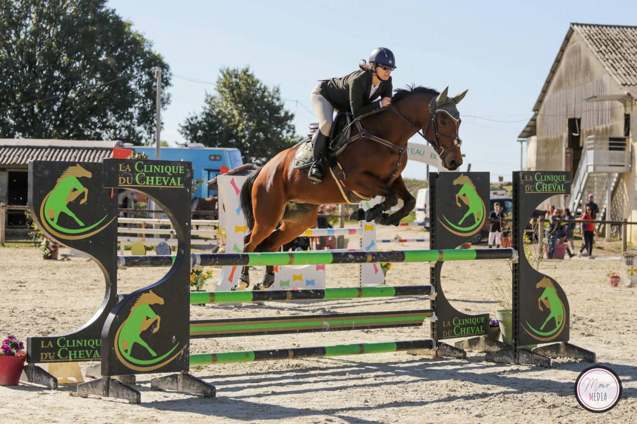 Jument SF polyvalente CSO