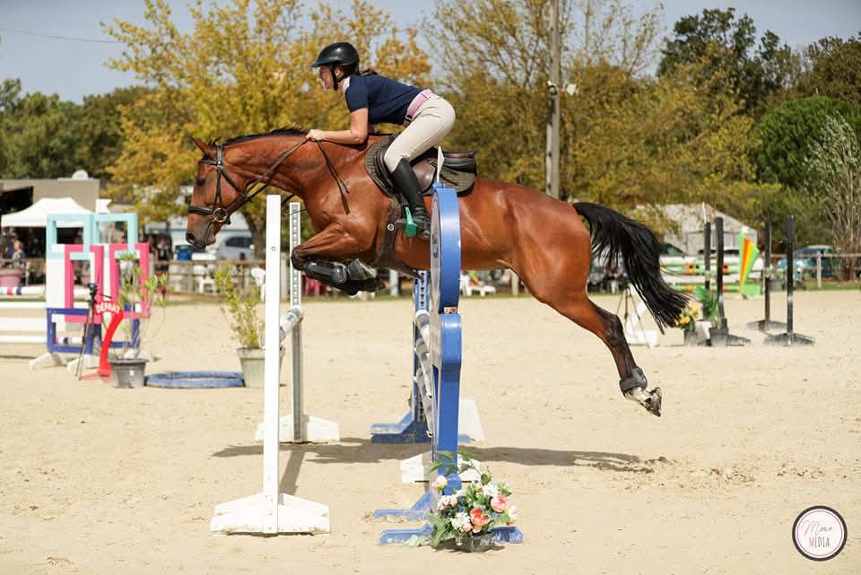 Jument SF polyvalente CSO