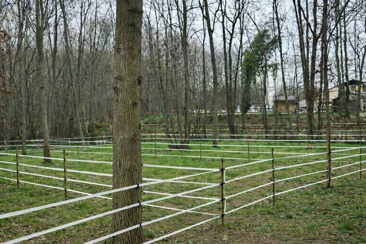 Boxes &agrave; louer &ndash; &Eacute;curie &agrave; 5 min de Houdan (78)