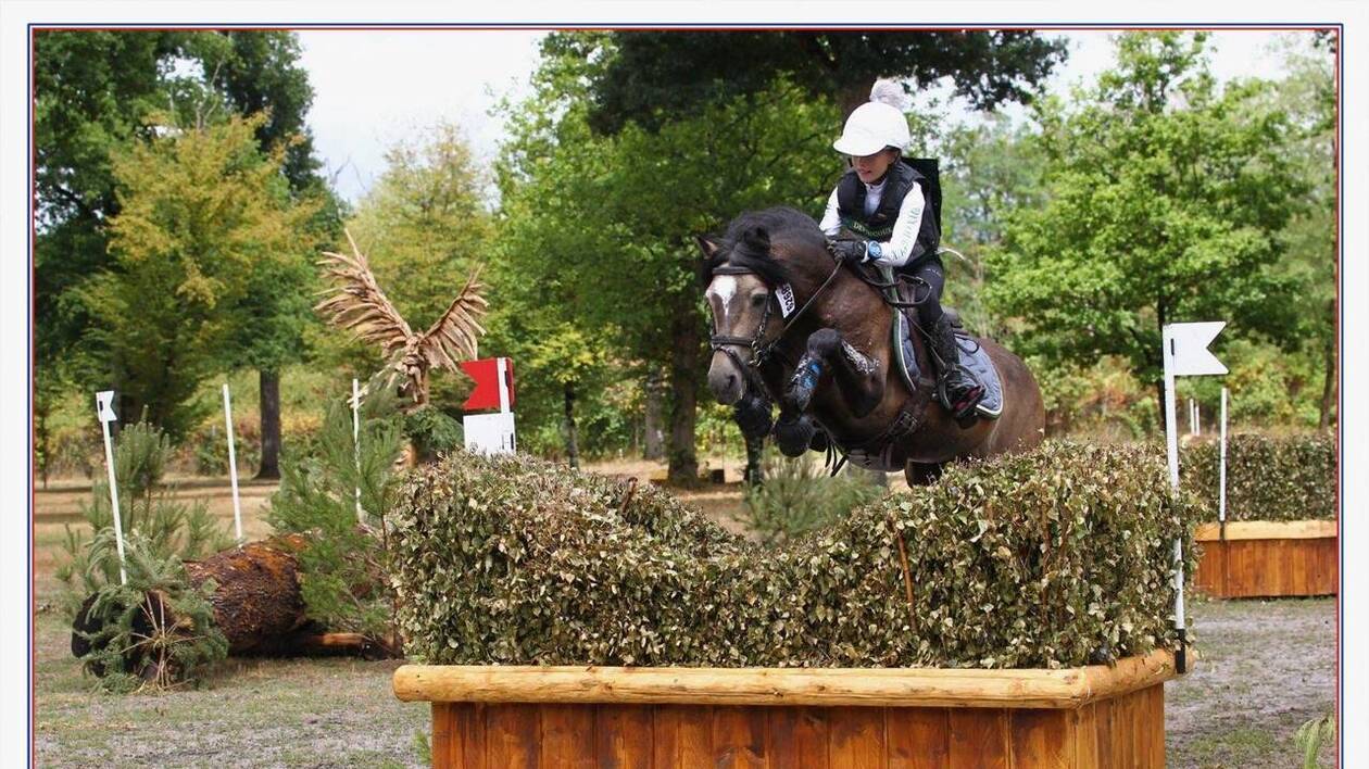 IPC 161, IPO 148, BPO+2, performant CSO, CCE, Dressage 