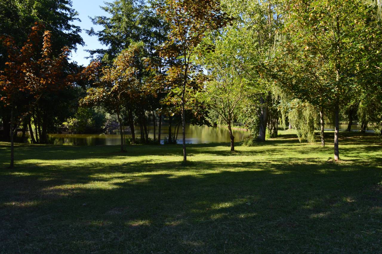 STRUCTURE EQUESTRE A LOUER -- LA PALMYRE (17)