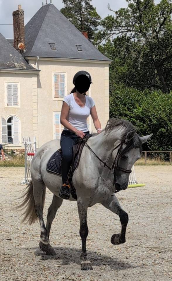 1/2 pension PRE de sport de 8 ans