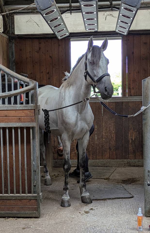 1/2 pension PRE de sport de 8 ans