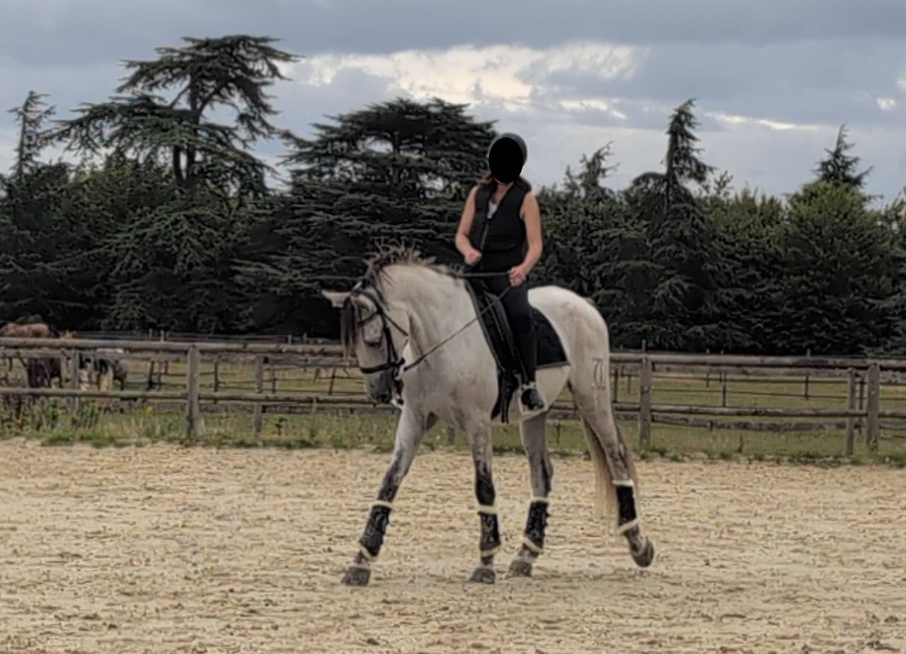 1/2 pension PRE de sport de 8 ans