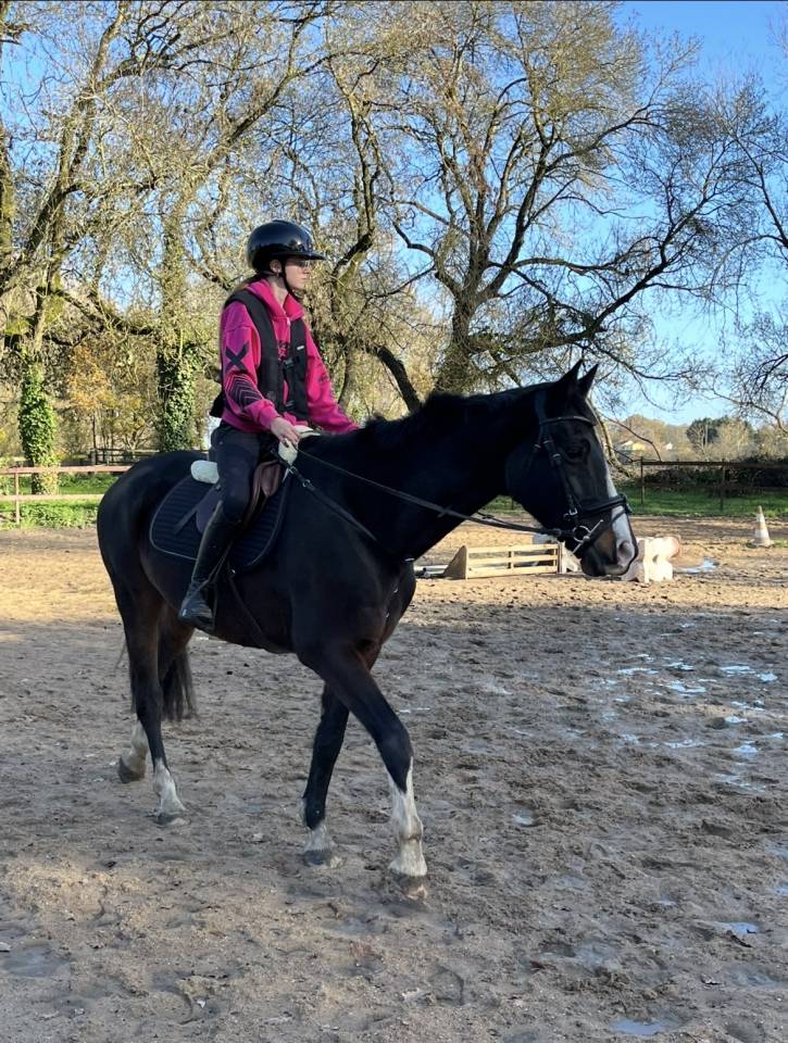 Selle Fran&ccedil;ais 