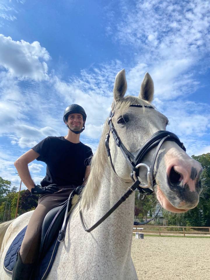 Jument d'&eacute;cole Westfalen 2009, dressage