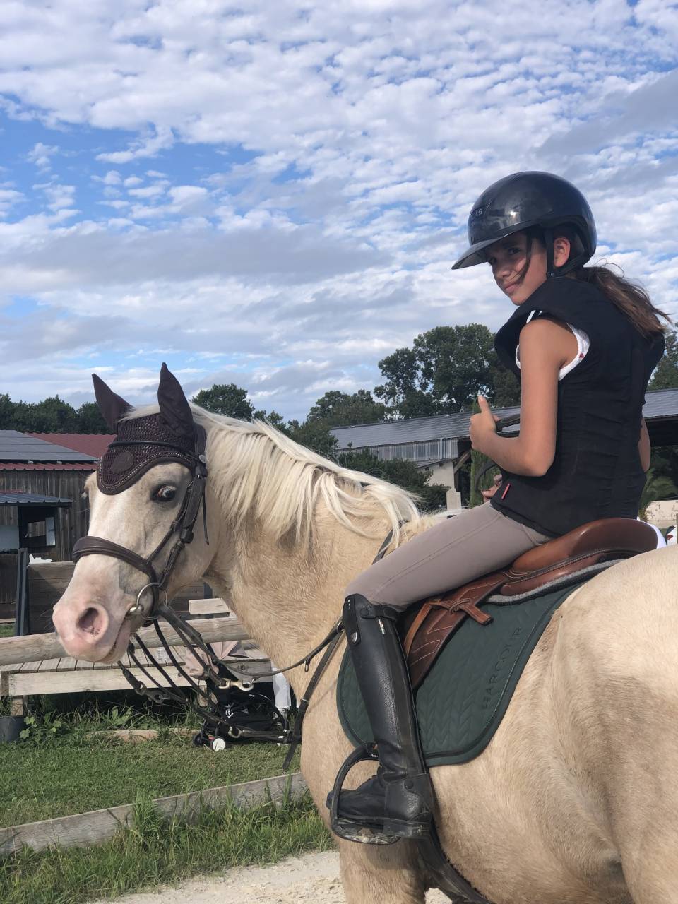  Poney palomino 6 ans &ndash; 1m48 &ndash; Origines sport