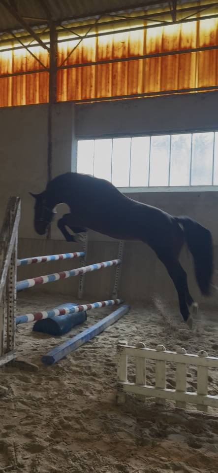 Super 4 ans id&eacute;al amateur 