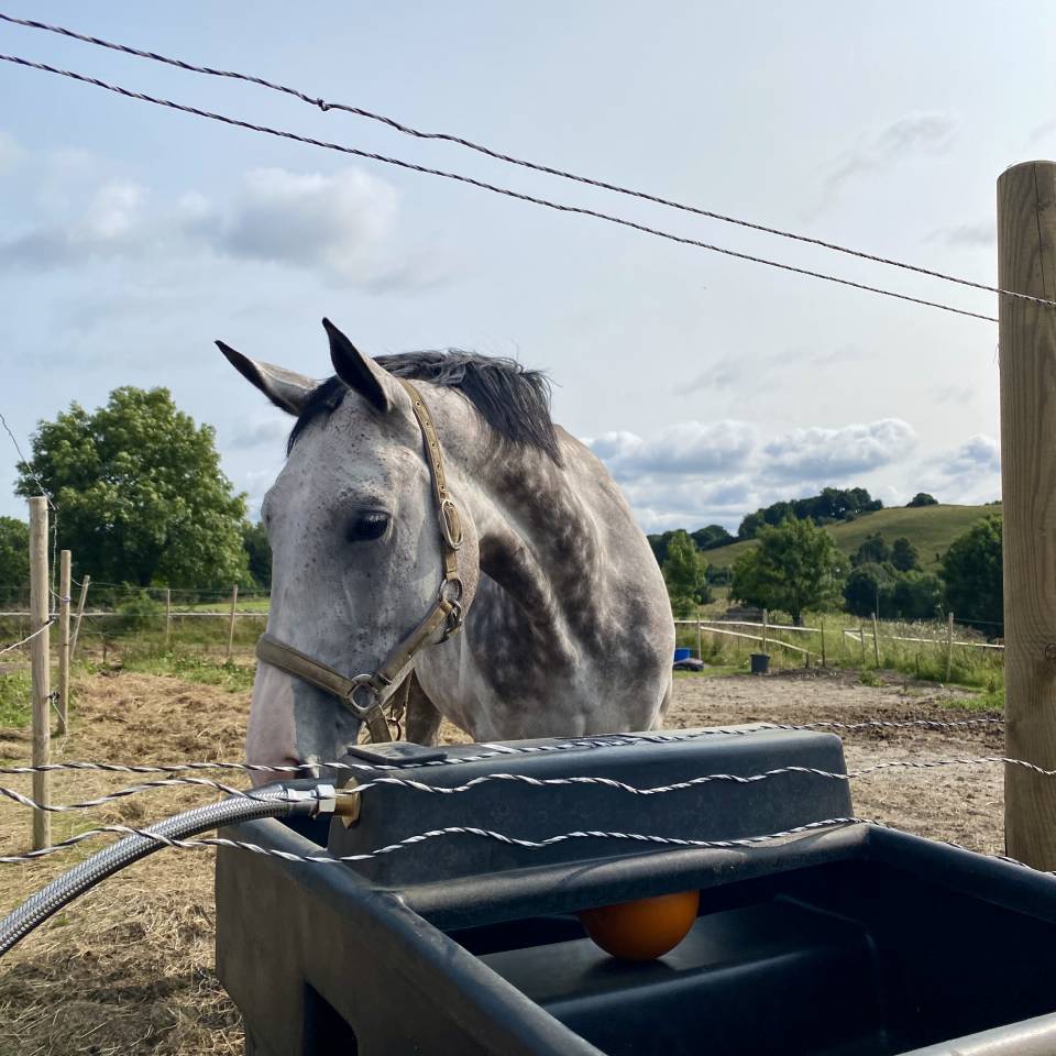 Recherche collaboration / installation au sein d&rsquo;une st