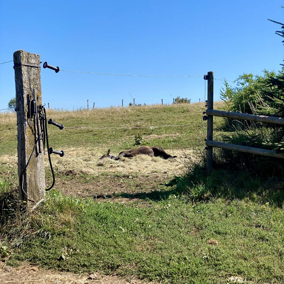 Recherche collaboration / installation au sein d&rsquo;une st