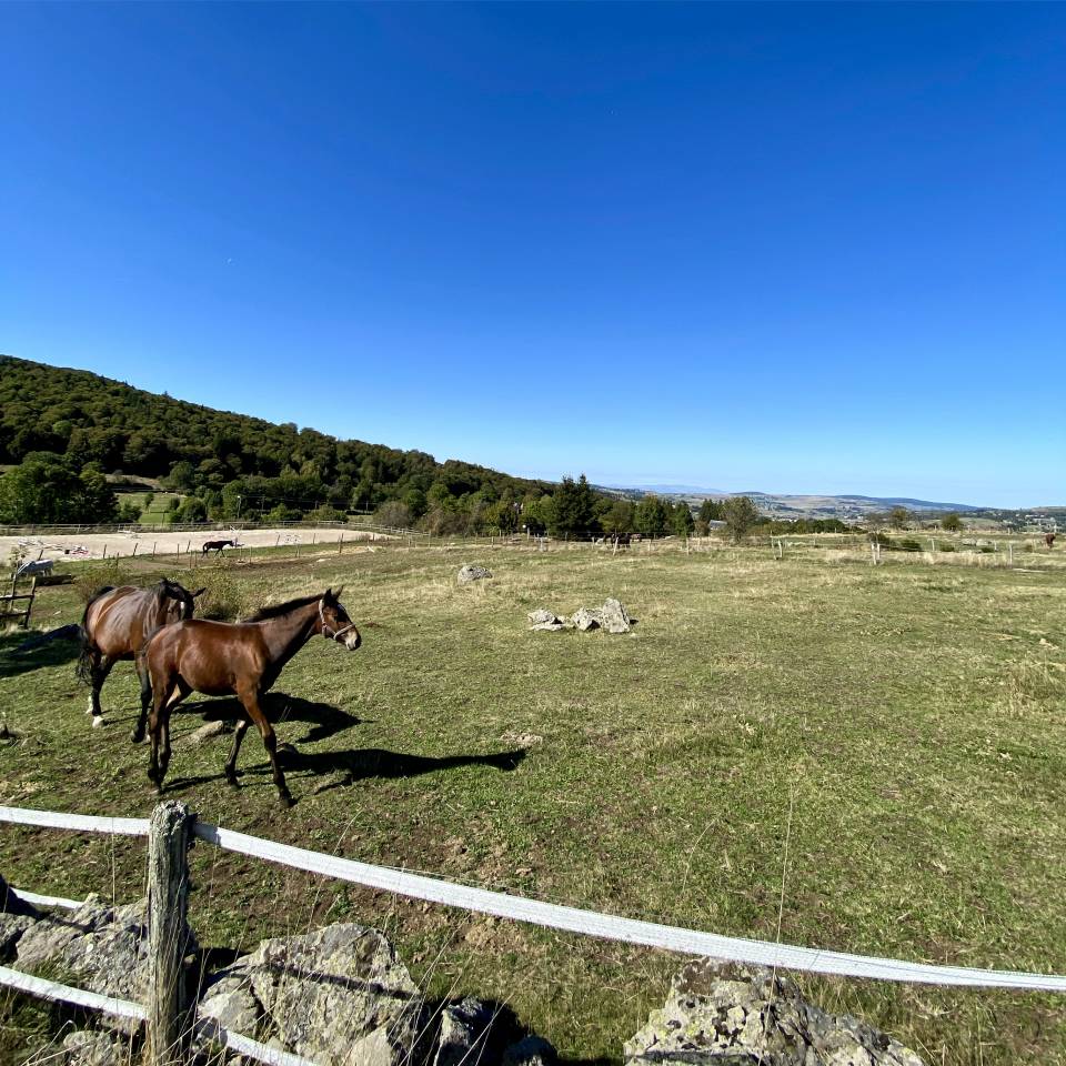 Recherche collaboration / installation au sein d&rsquo;une st