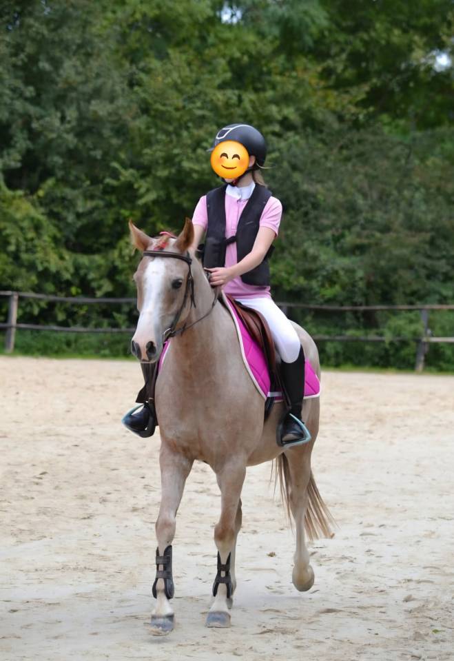 Poney C 8 ans Welsh Part-Bred polyvalent