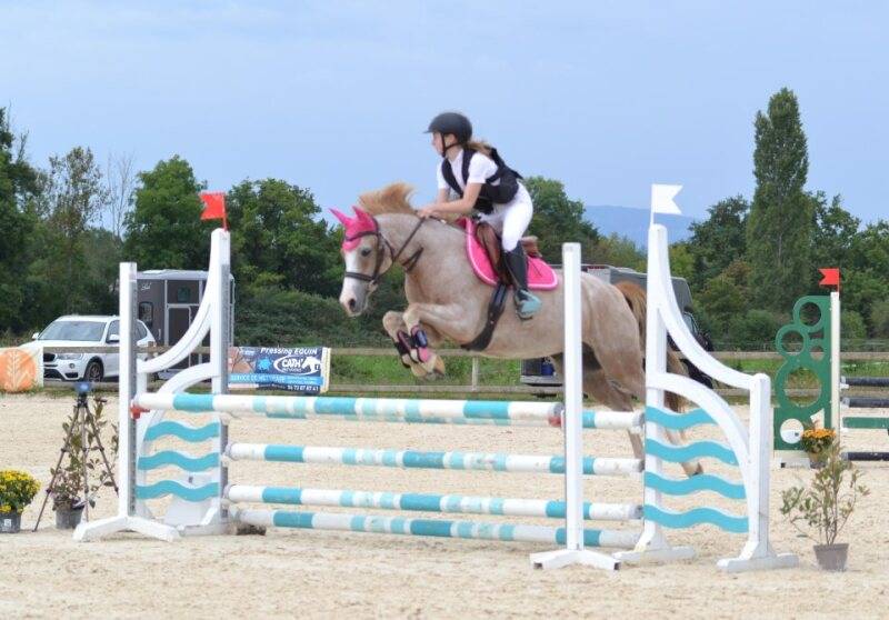 Poney C 8 ans Welsh Part-Bred polyvalent