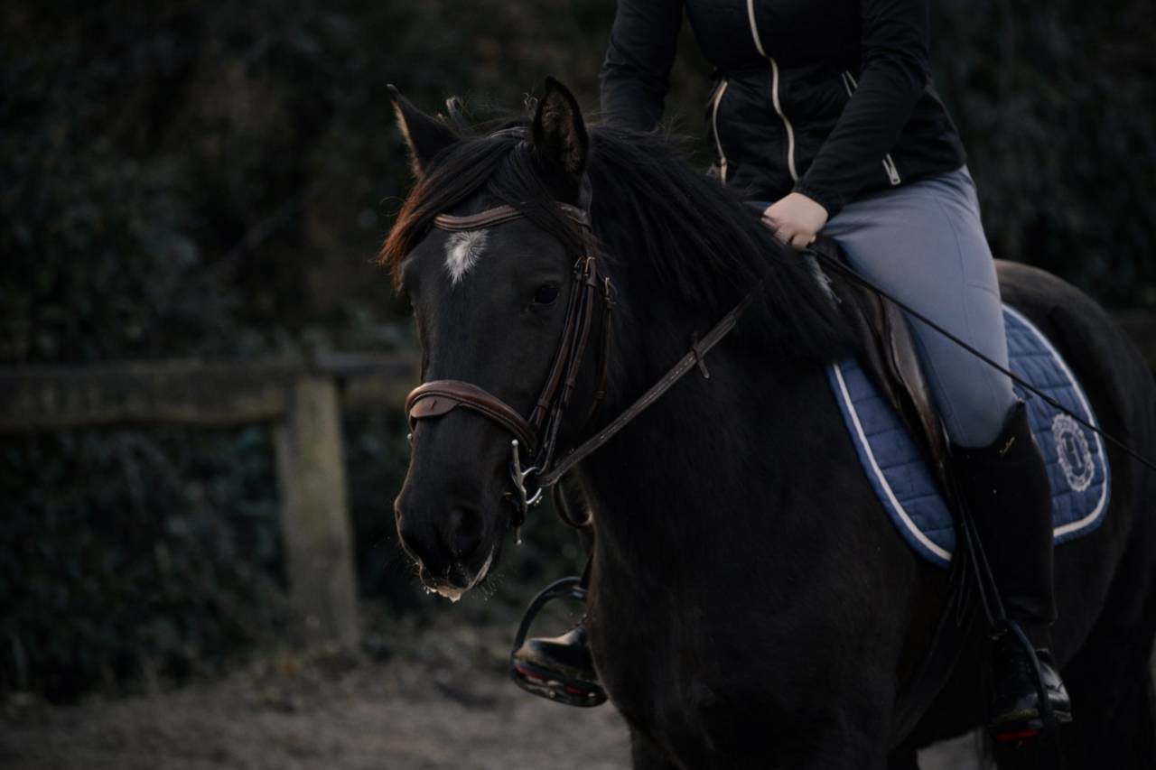 Poney de sport 4 ans 