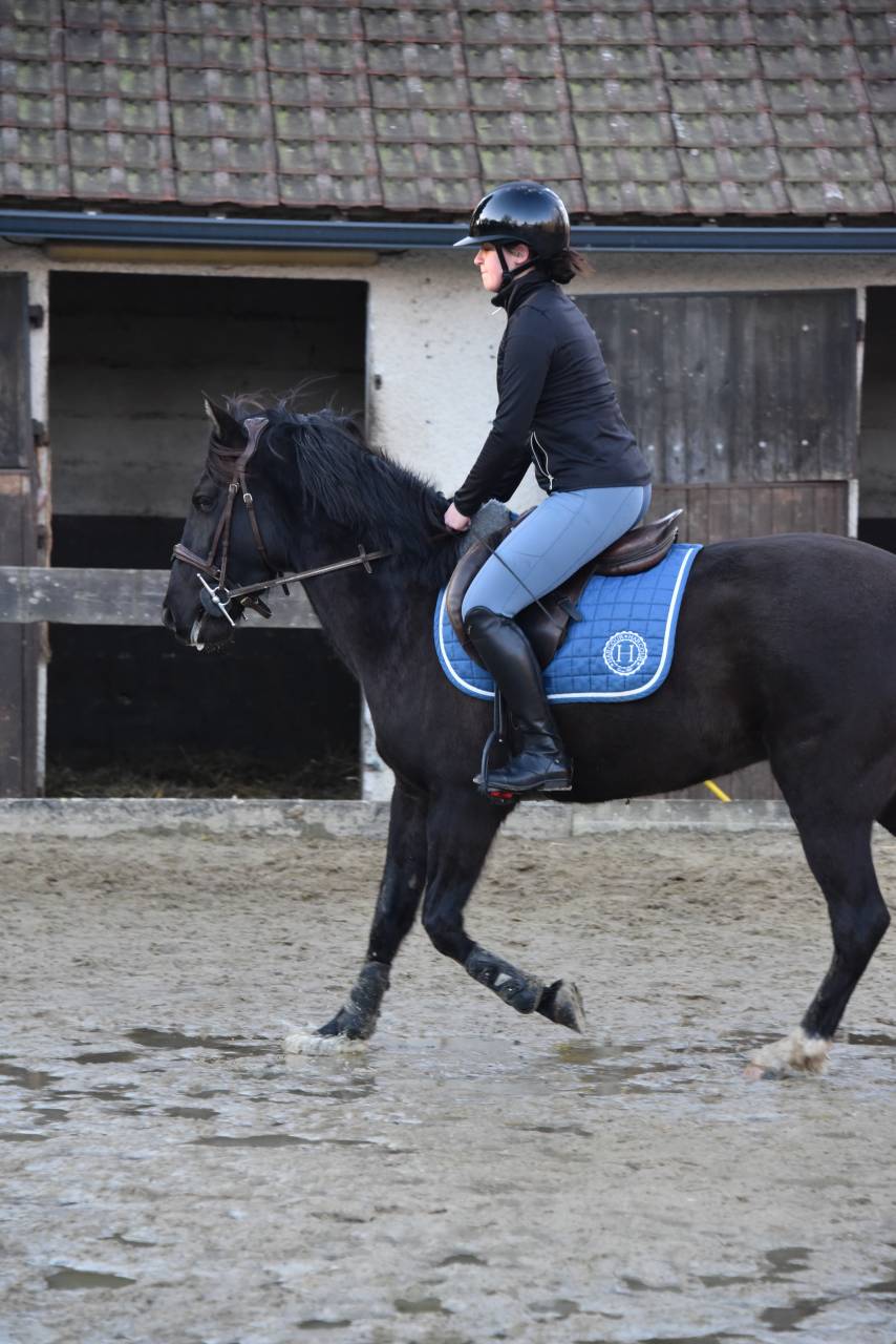 Poney de sport 4 ans 