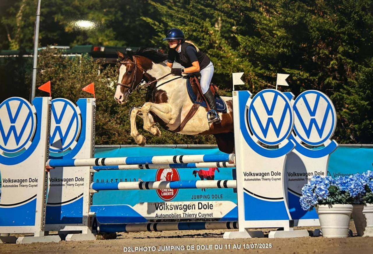 Magnifique Jument pie origines sport de 6 ans 