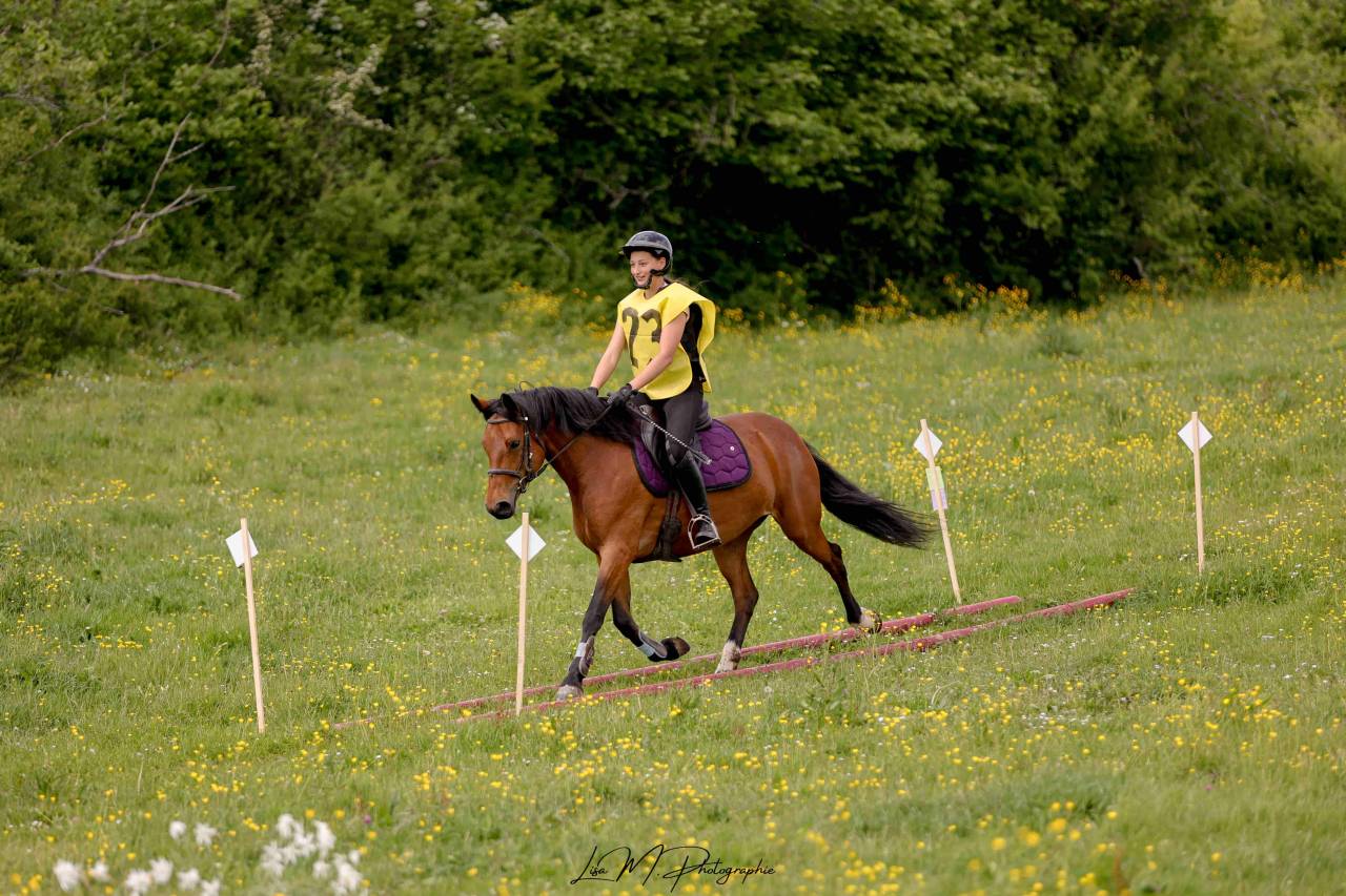 Ponette de sport &agrave; vendre
