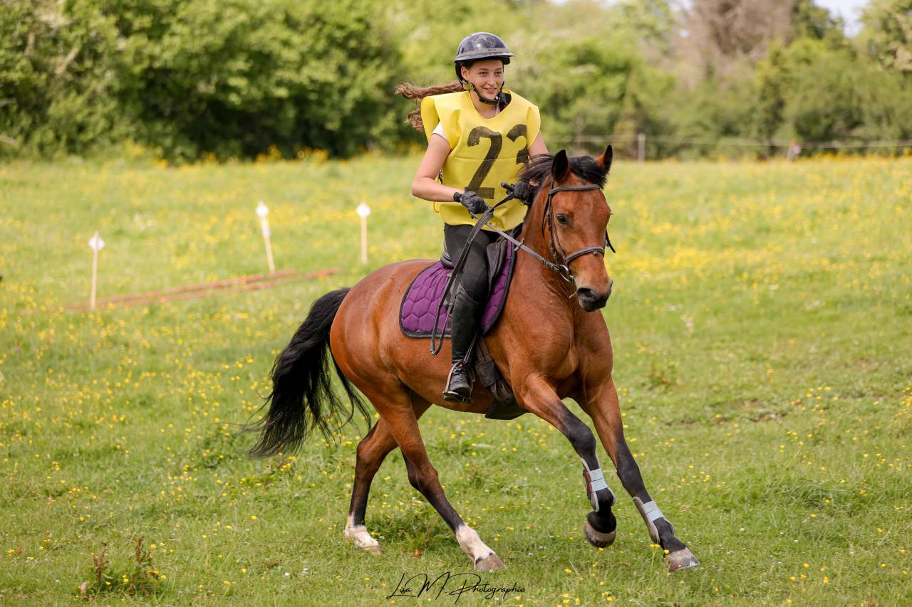 Ponette de sport &agrave; vendre