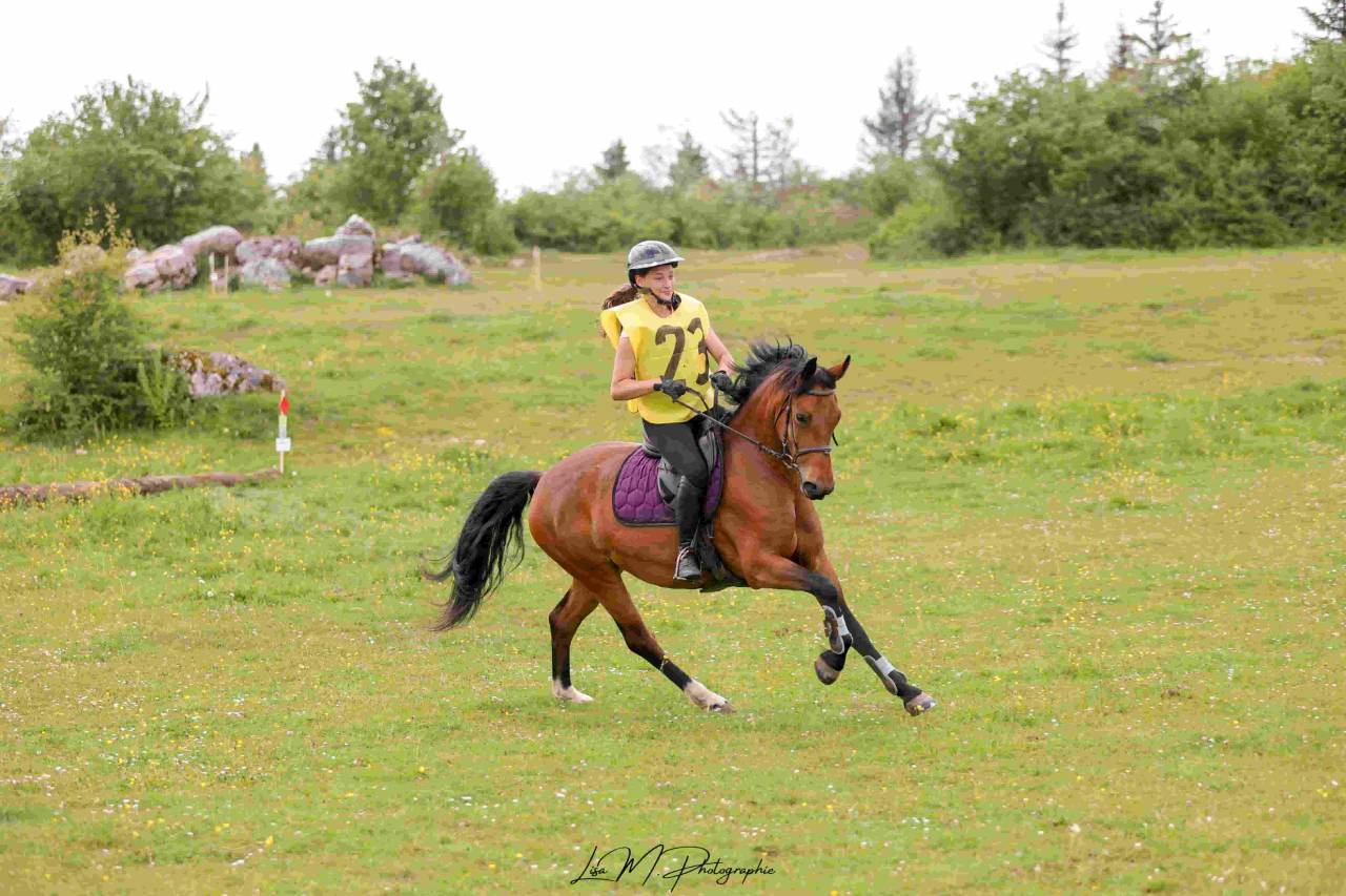 Ponette de sport &agrave; vendre